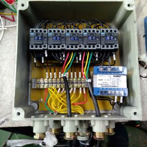 2017010138  BCD2T-24��