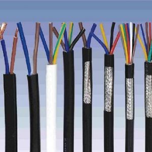 ������|����|���N��е�һ�N��ʲô�ǿ�����|��